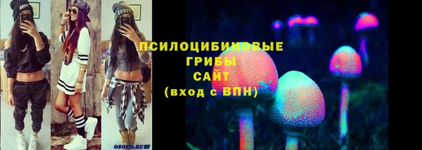 гидропоника Михайловск