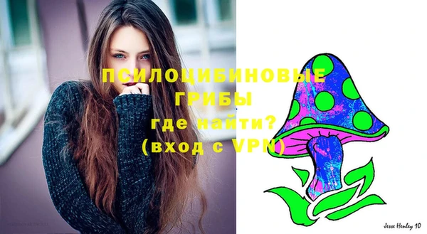ГАЛЛЮЦИНОГЕННЫЕ ГРИБЫ Михайловка