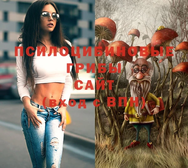 ГАЛЛЮЦИНОГЕННЫЕ ГРИБЫ Михайловка
