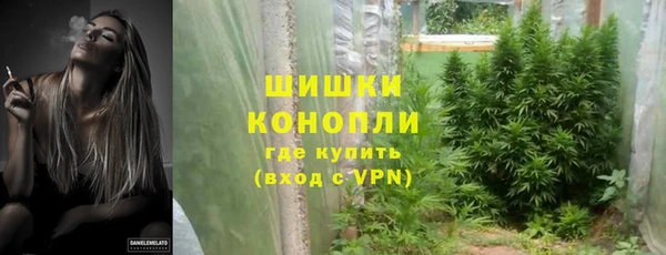 ГАЛЛЮЦИНОГЕННЫЕ ГРИБЫ Михайловка