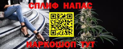 амф Балахна