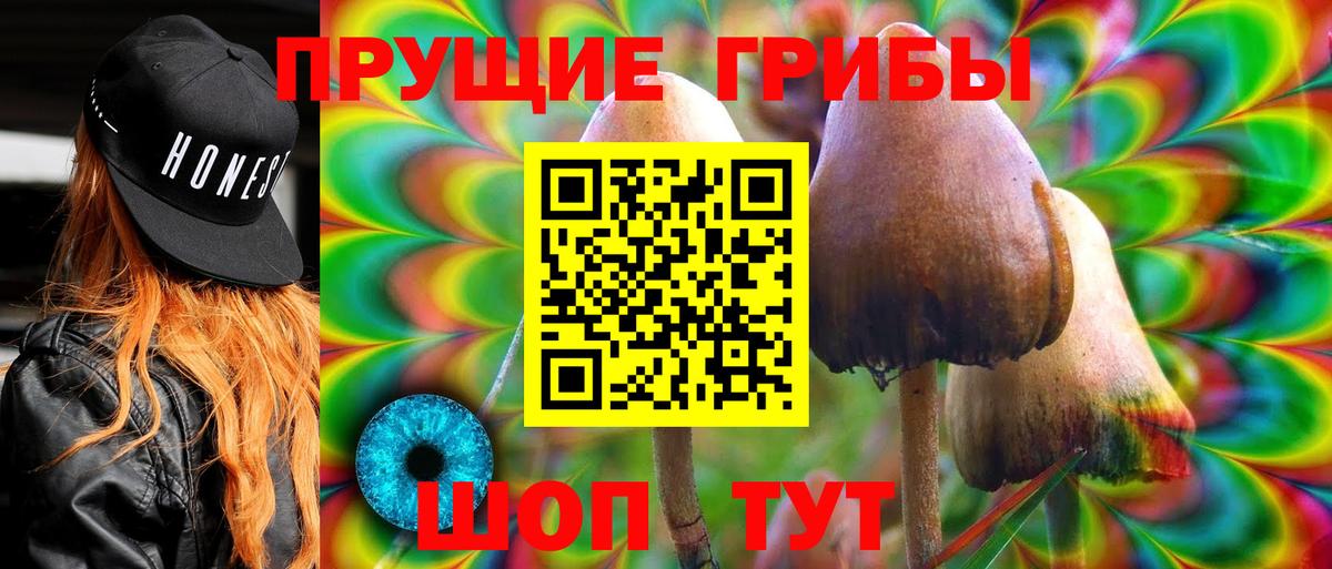 Псилоцибиновые грибы прущие грибы  цены   Псилоцибиновые грибы прущие грибы  Заречный  Вход с VPN 