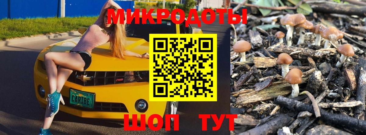 Псилоцибиновые грибы Psilocybe Заречный